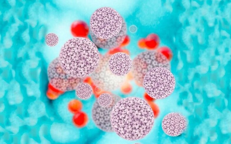 ہیومن پیپیلوما وائرس لیبیا پر پیپیلوماس کا سبب بنتا ہے۔